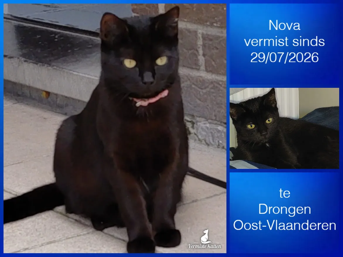 Nova