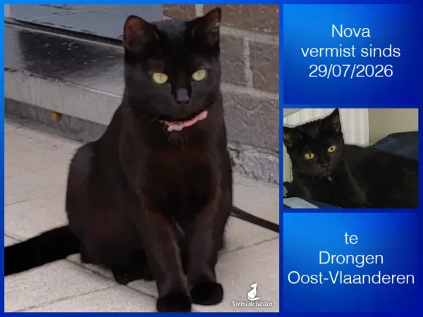 Nova