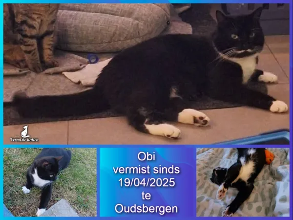 Obi