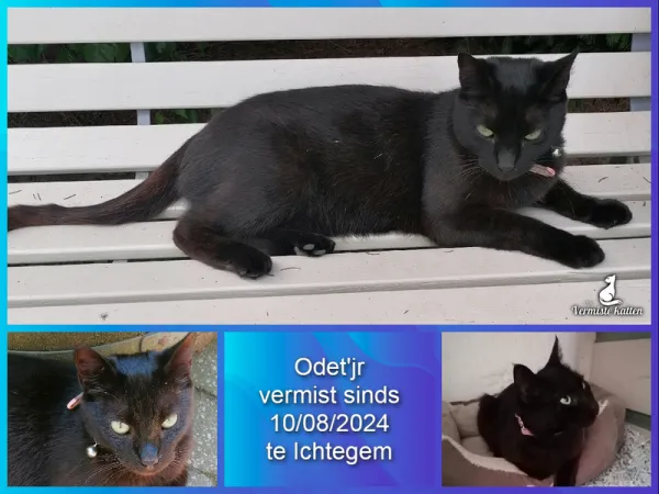 Odet’jr