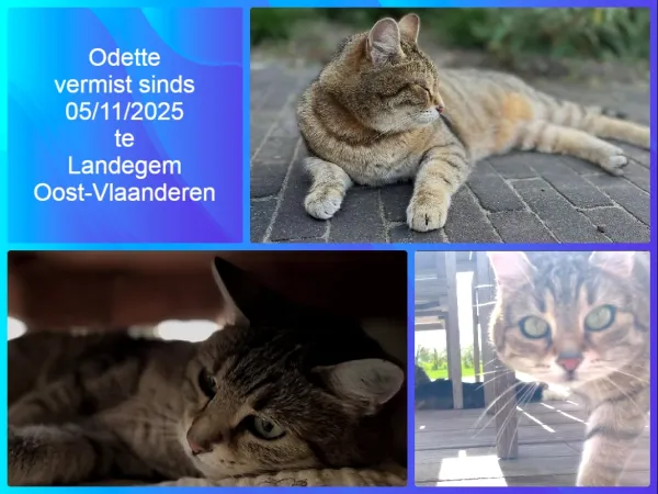 Odette