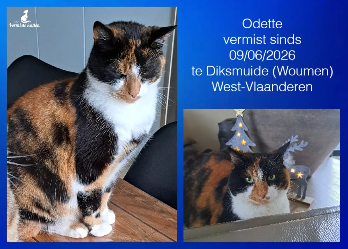 Odette
