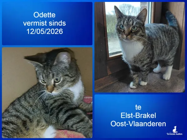 Odette