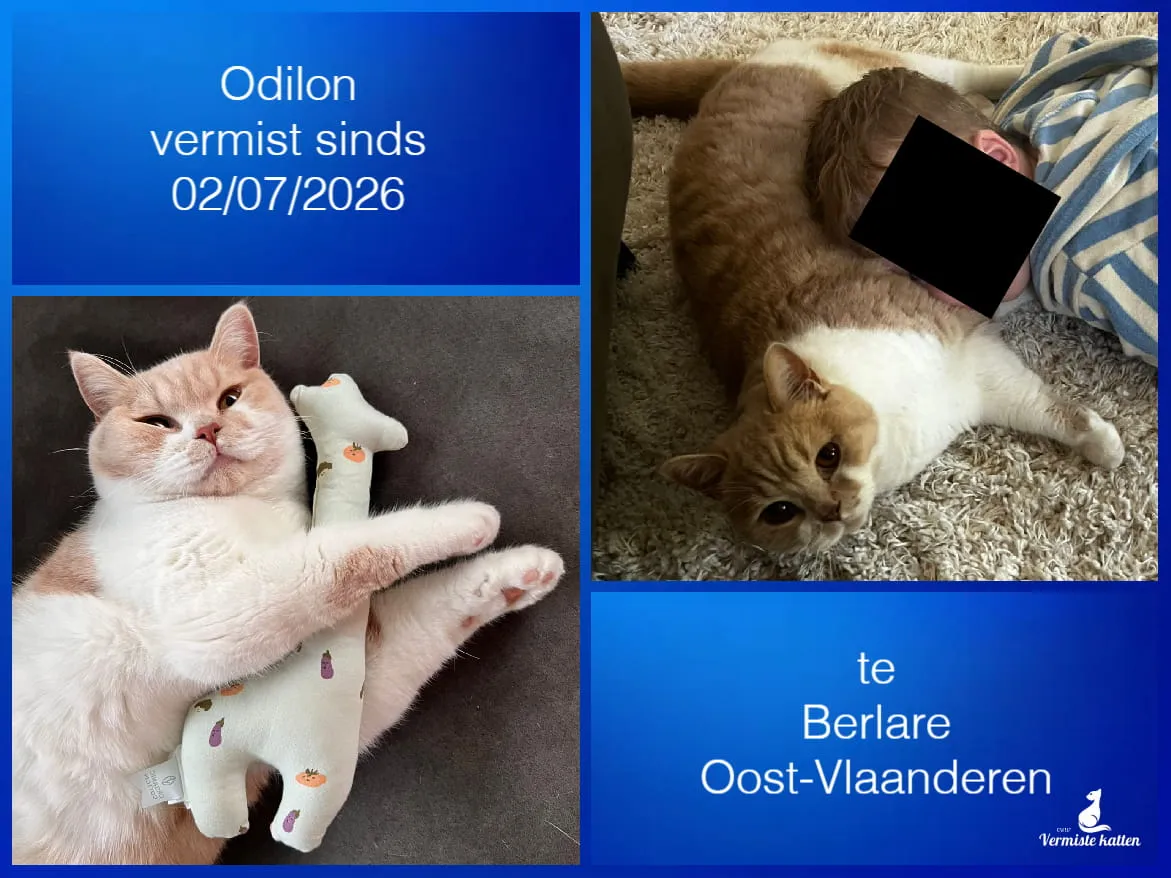 Odilon
