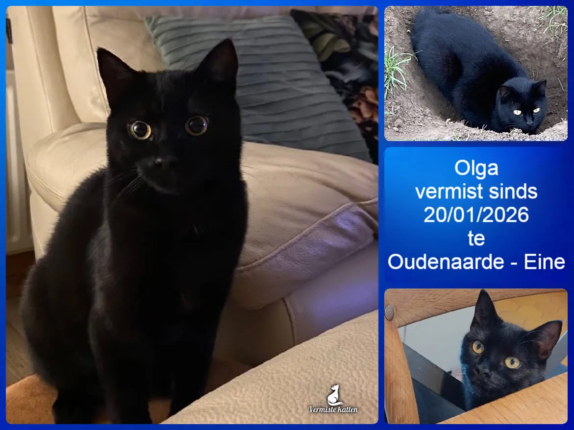 Olga