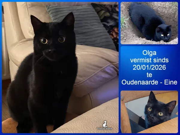 Olga