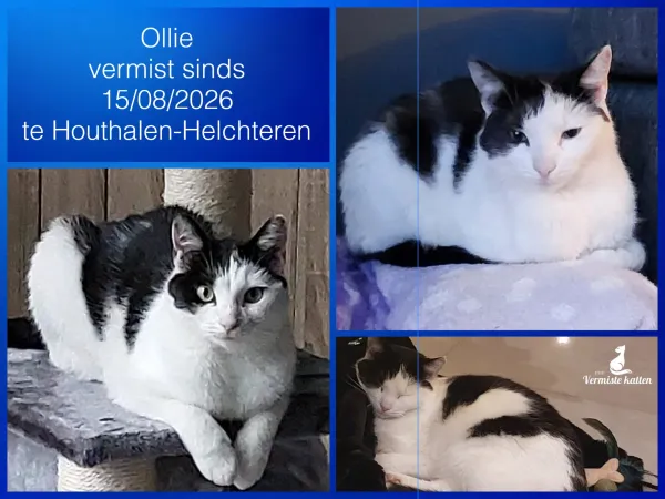 Ollie