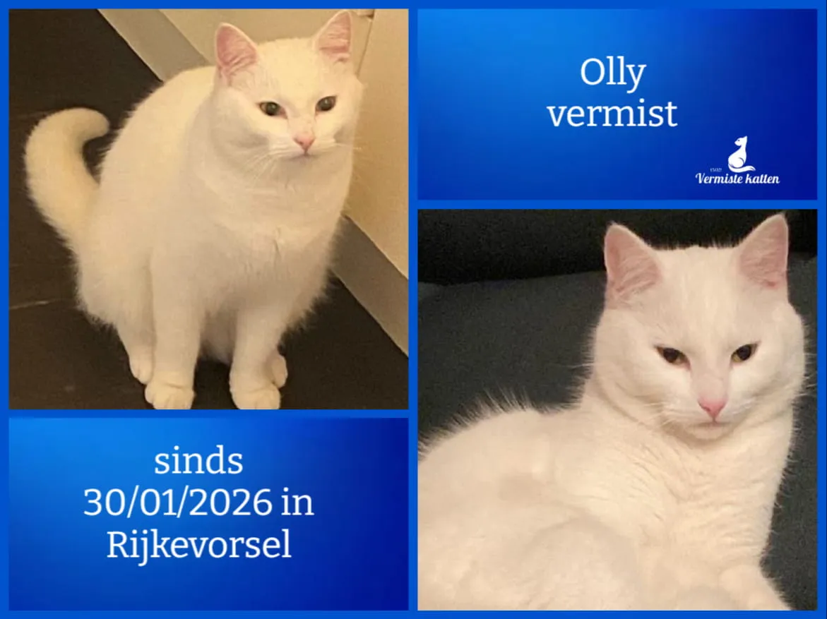 Olly