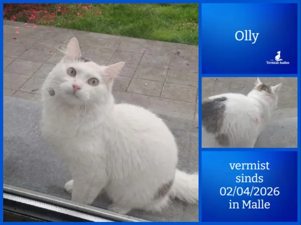 Olly