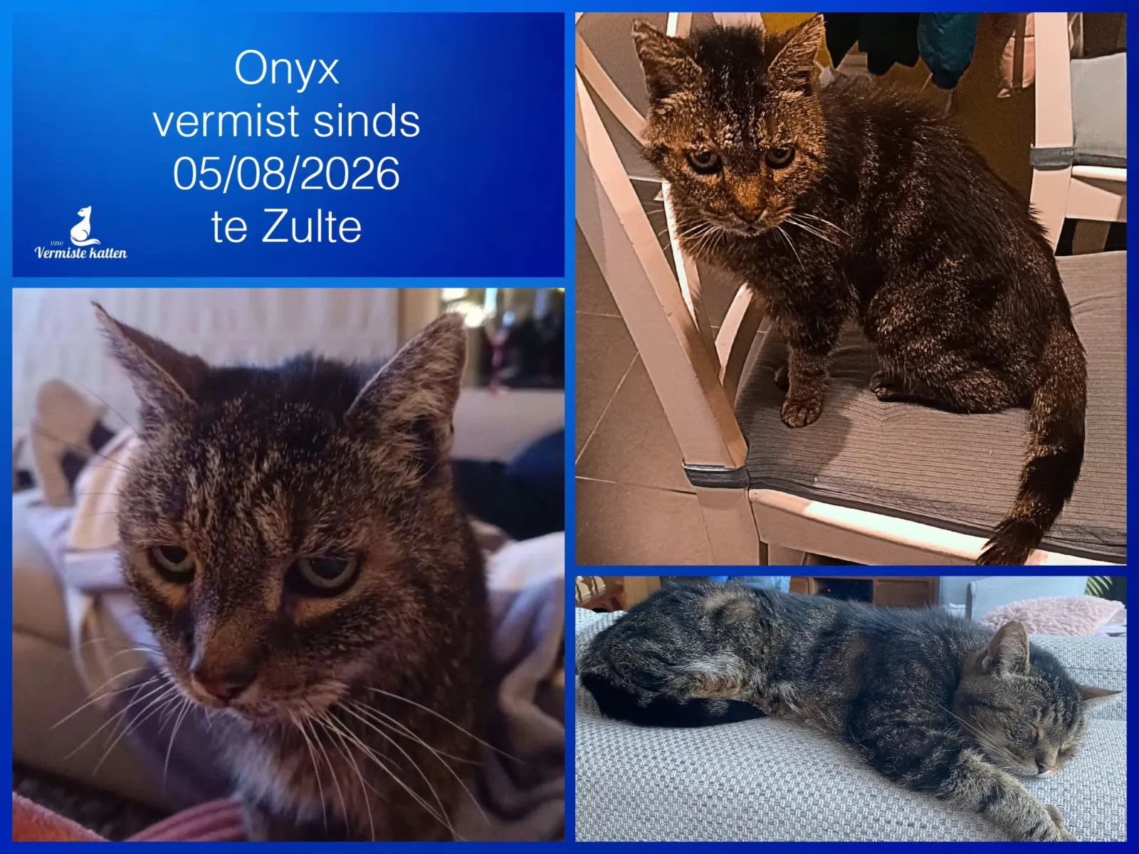 Onyx