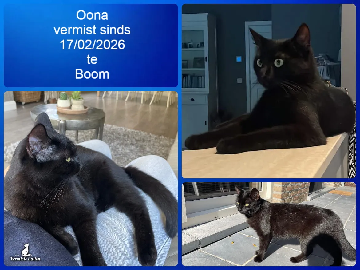Oona