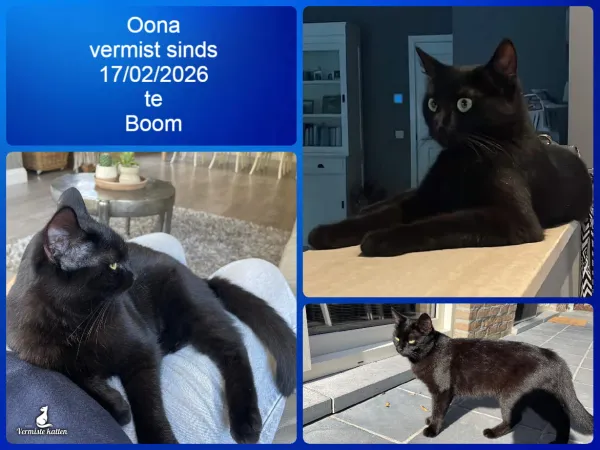 Oona