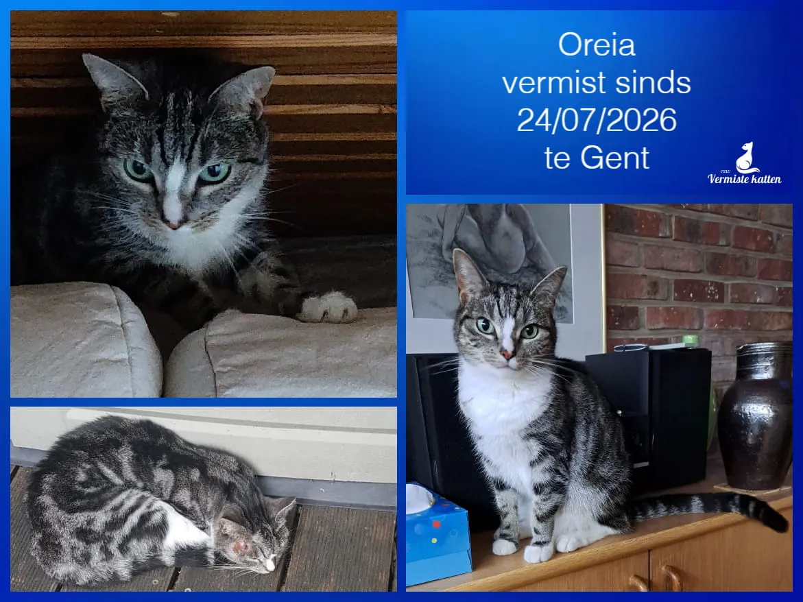 Oreia