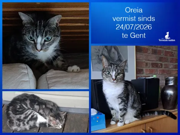 Oreia