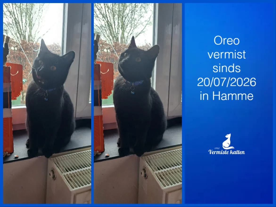 Oreo