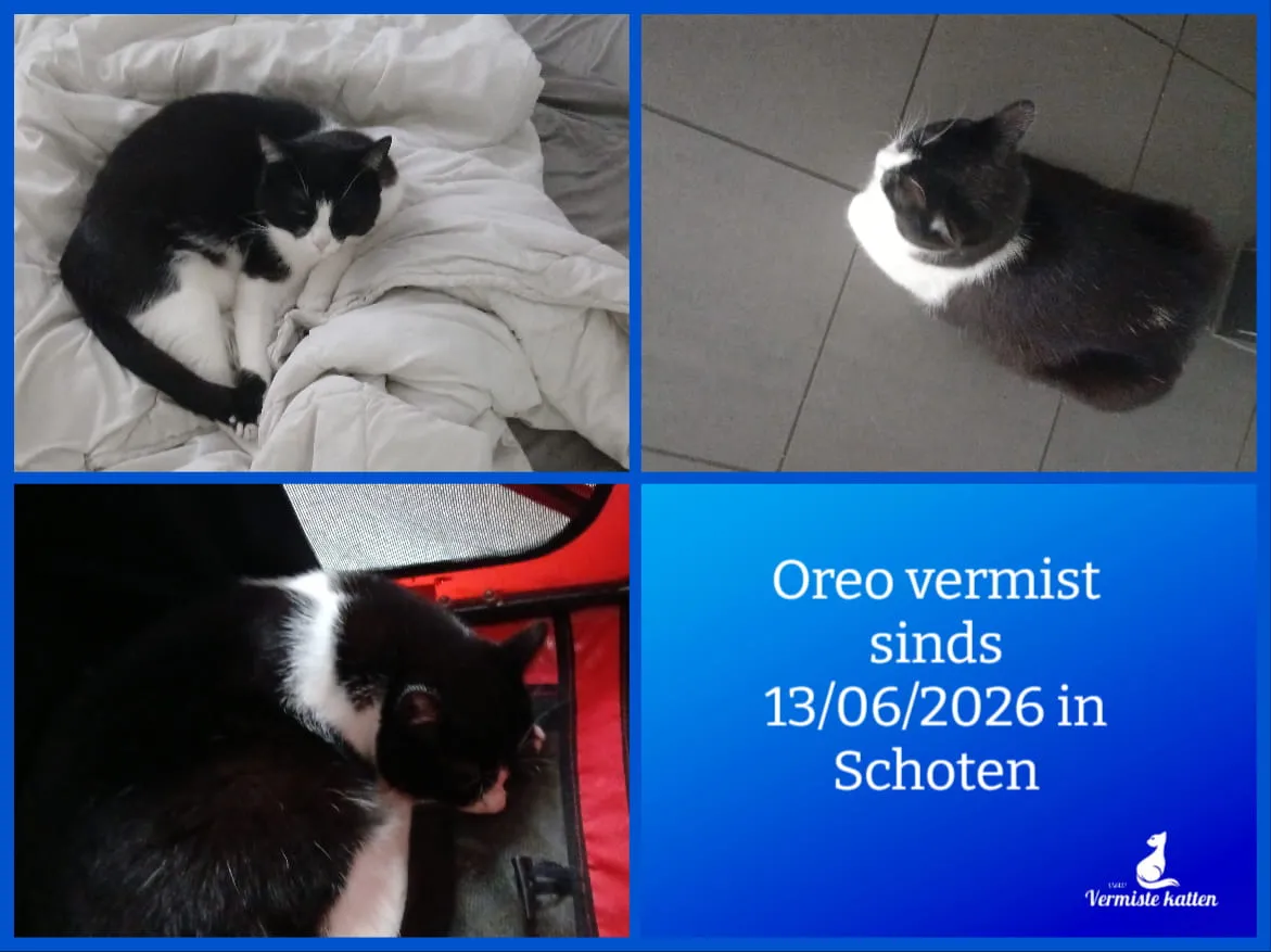 Oreo