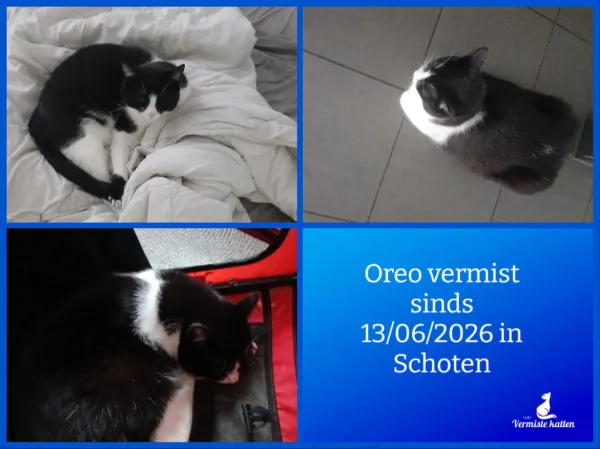 Oreo