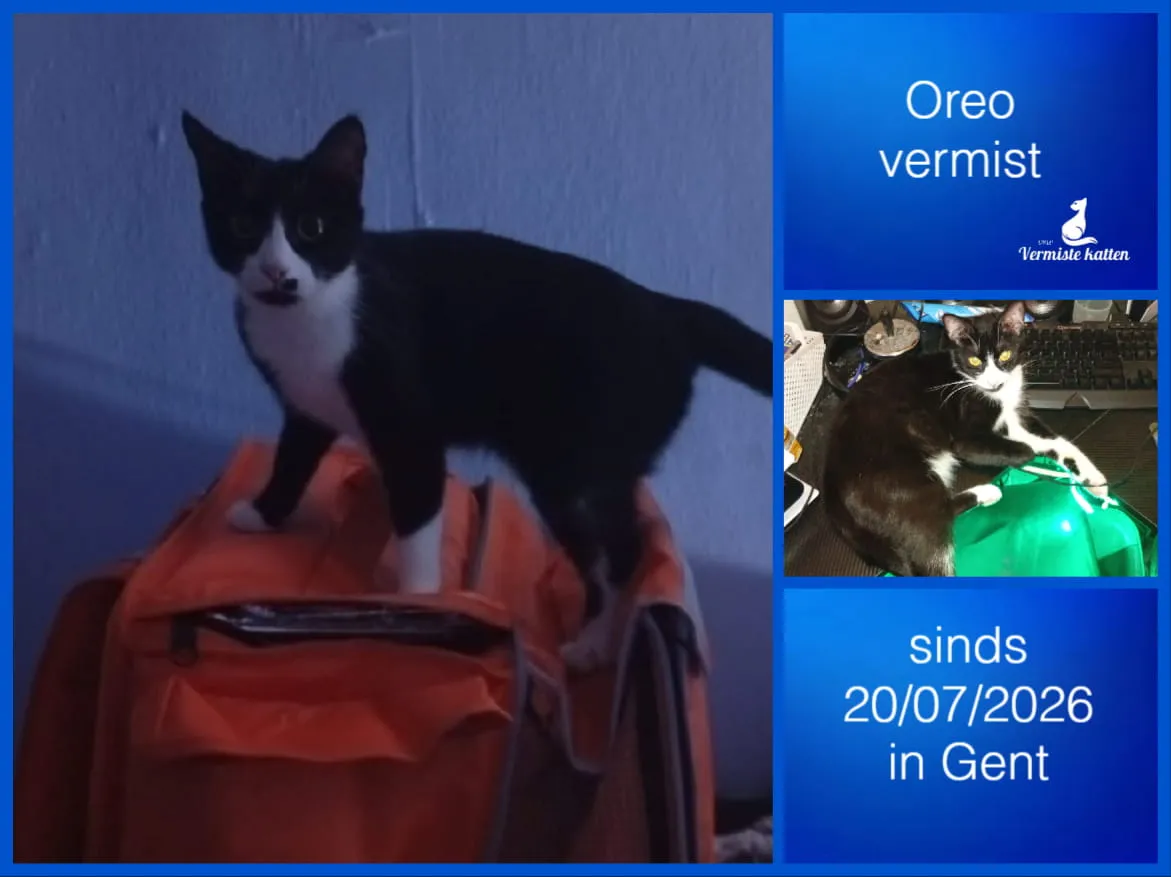 Oreo