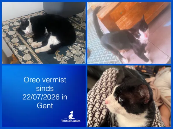 Oreo