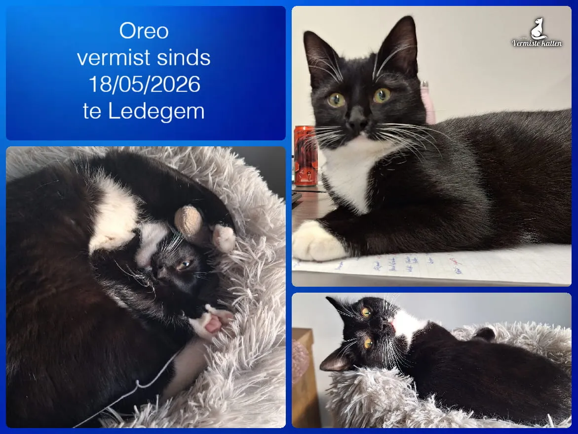 Oreo
