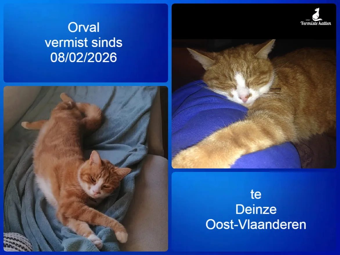 Orval