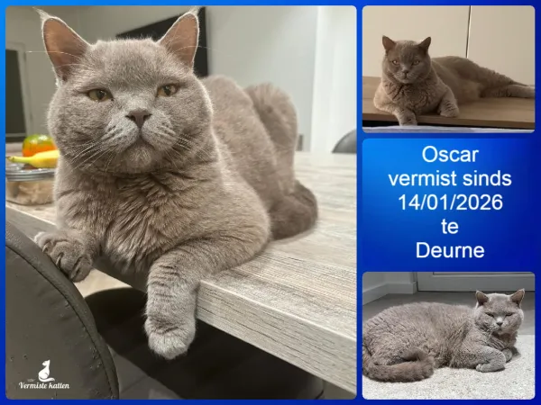 Oscar