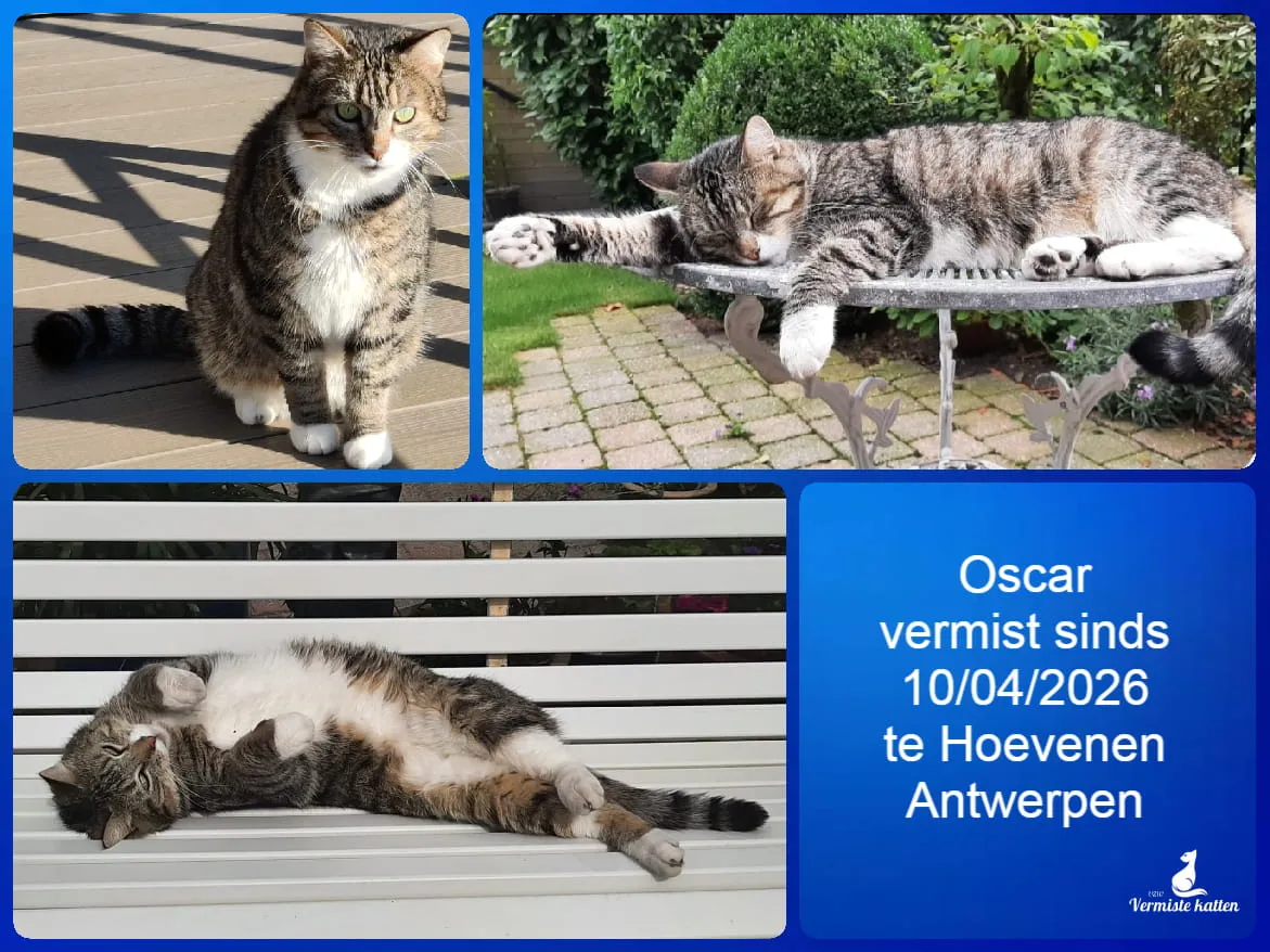 Oscar