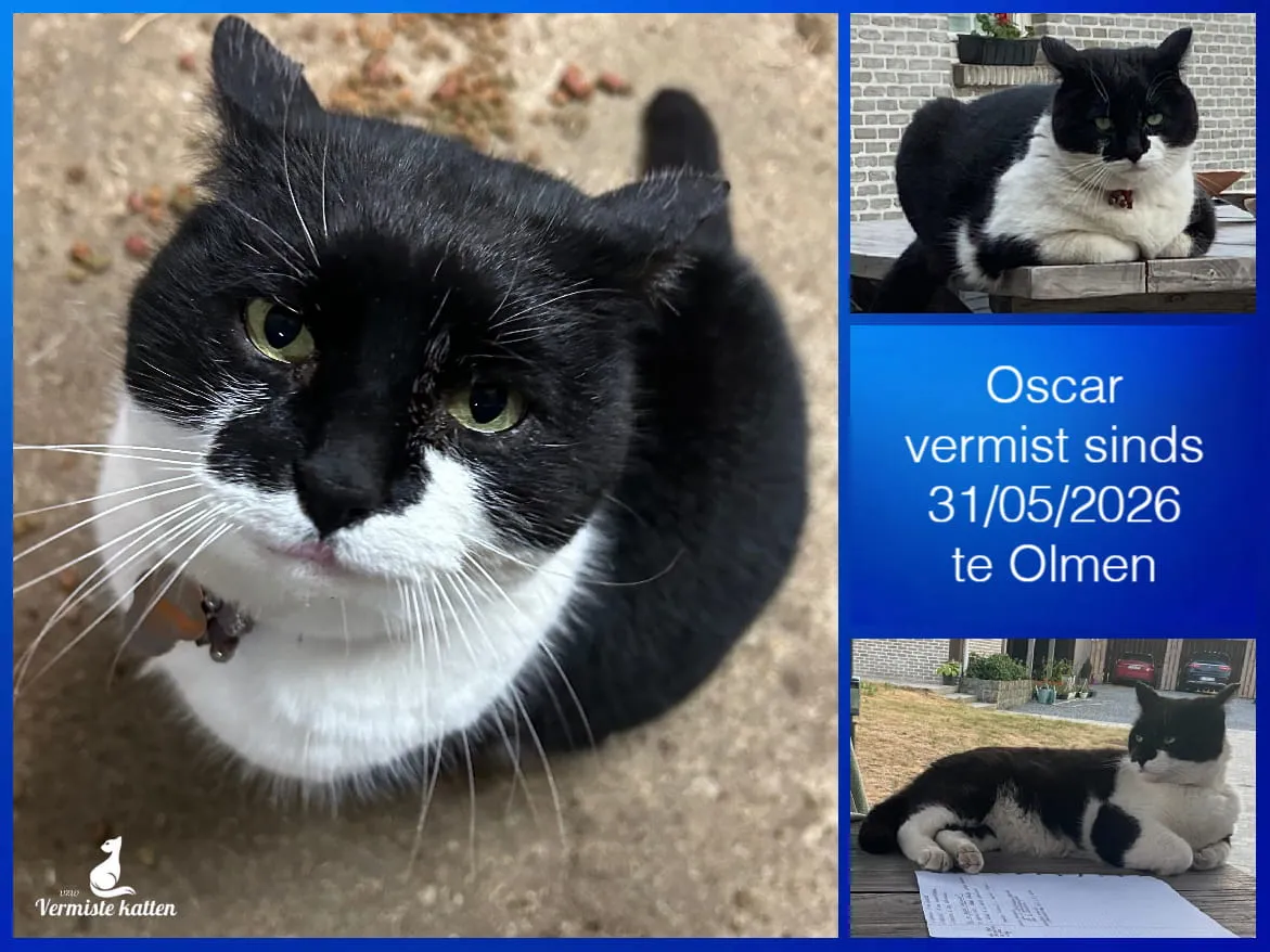 Oscar