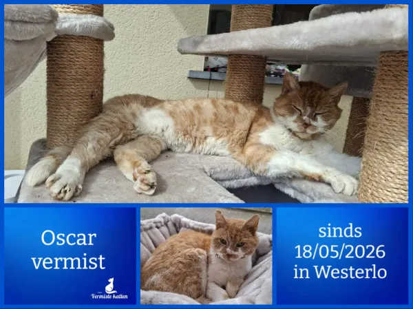 Oscar