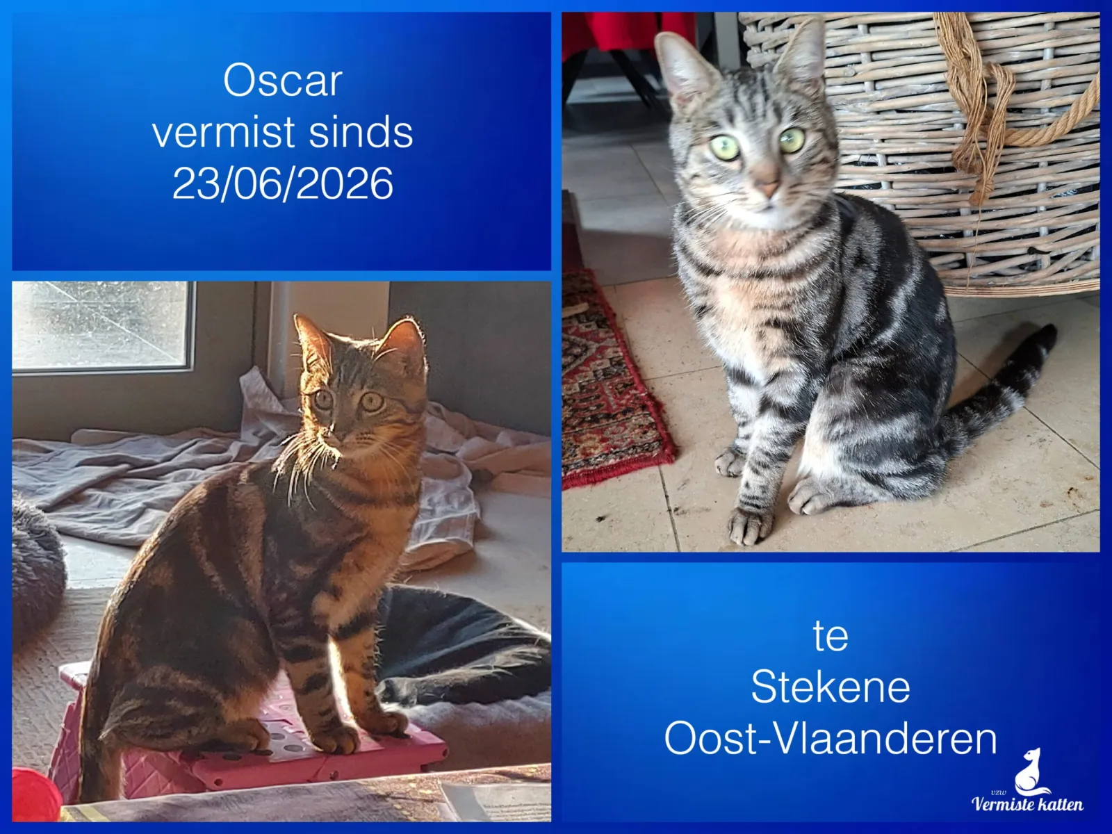 Oscar