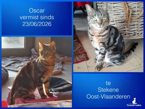 Oscar