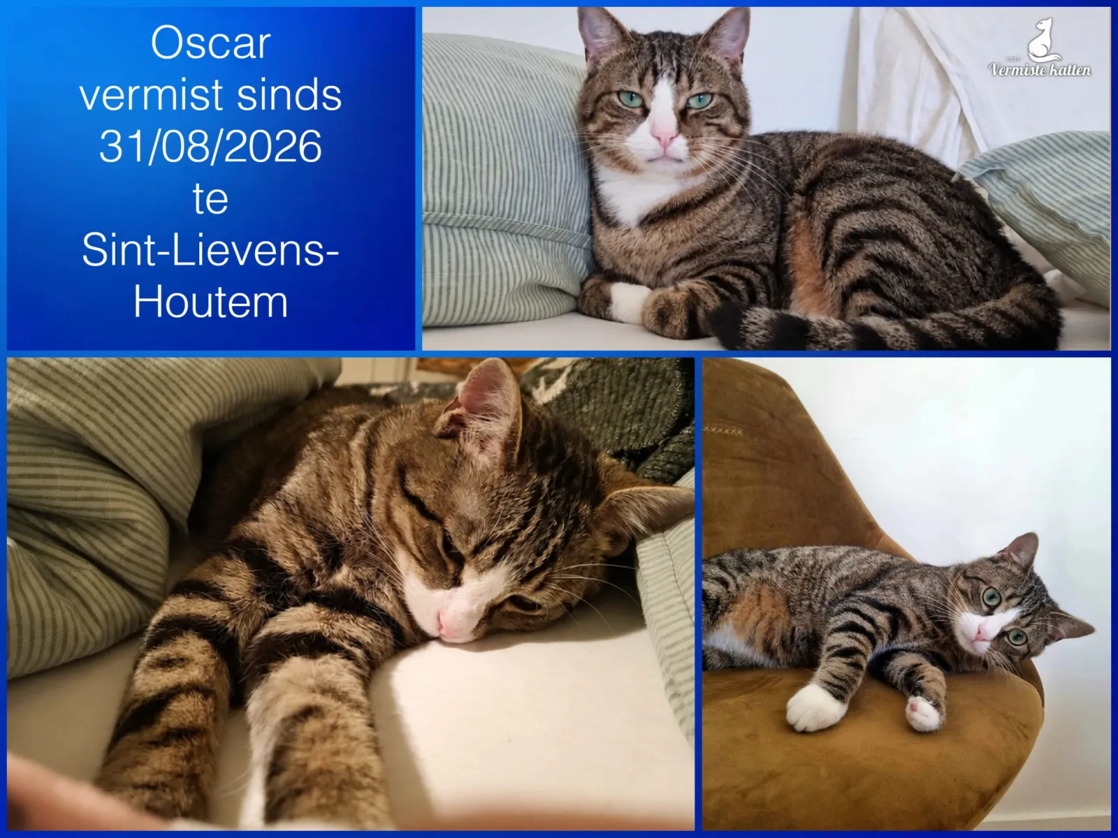 Oscar