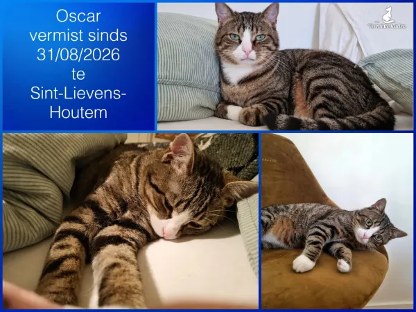 Oscar