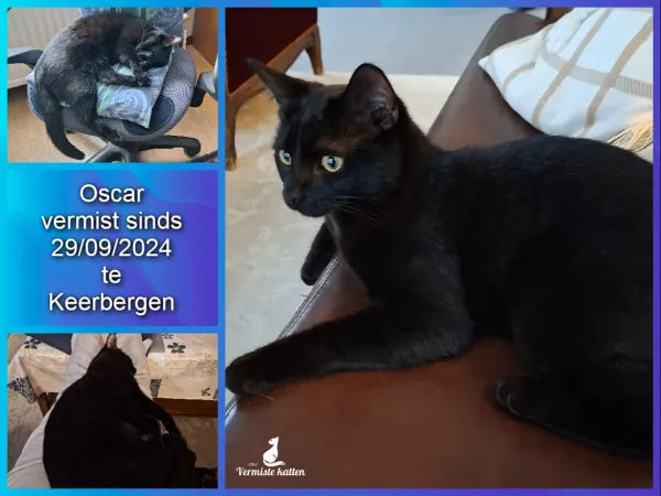 Oscar
