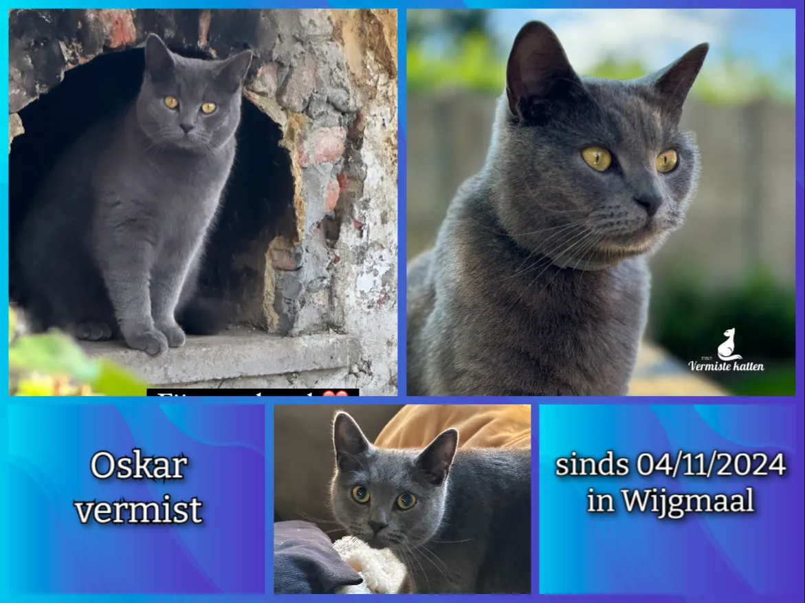 Oskar