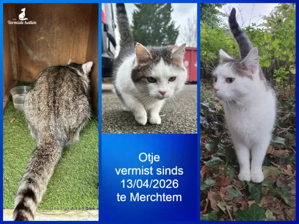 Otje