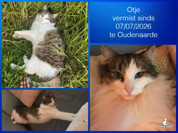Otje