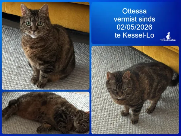 Ottessa