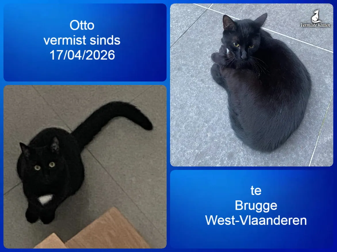 Otto