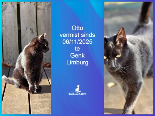 Otto
