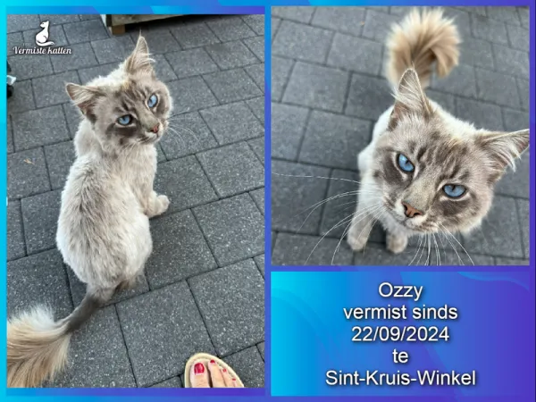 Ozzy