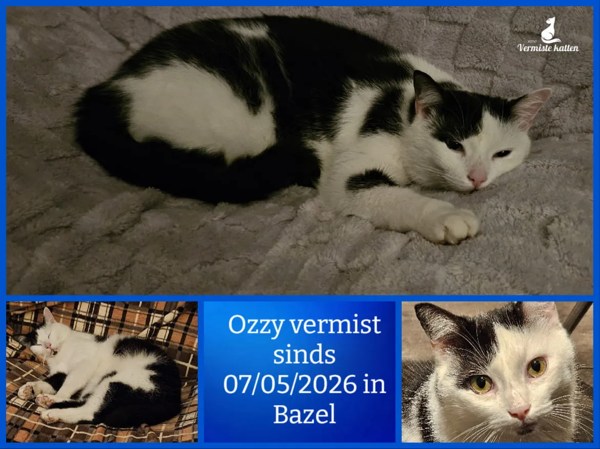 Ozzy