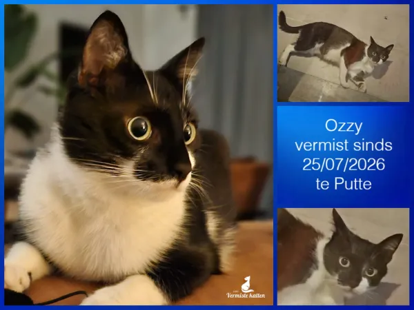 Ozzy