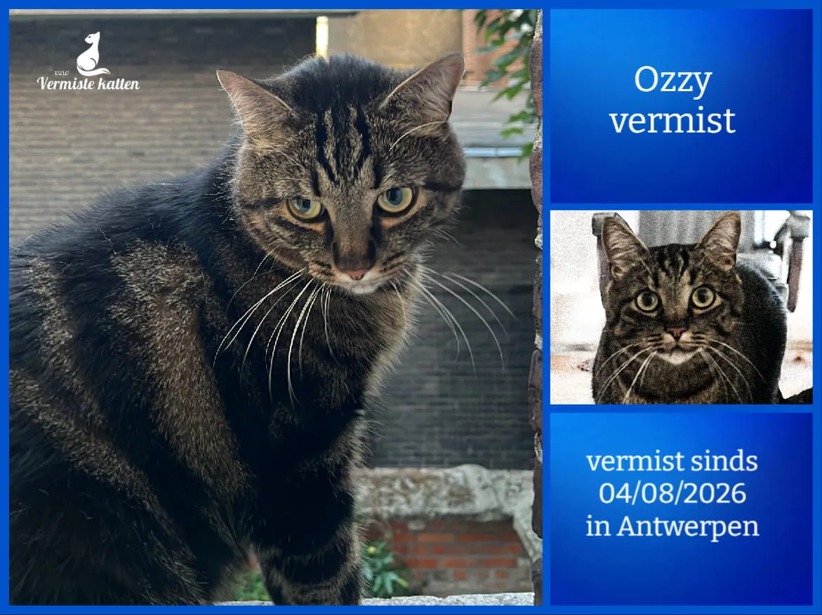 Ozzy