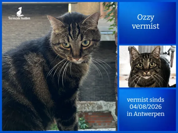 Ozzy