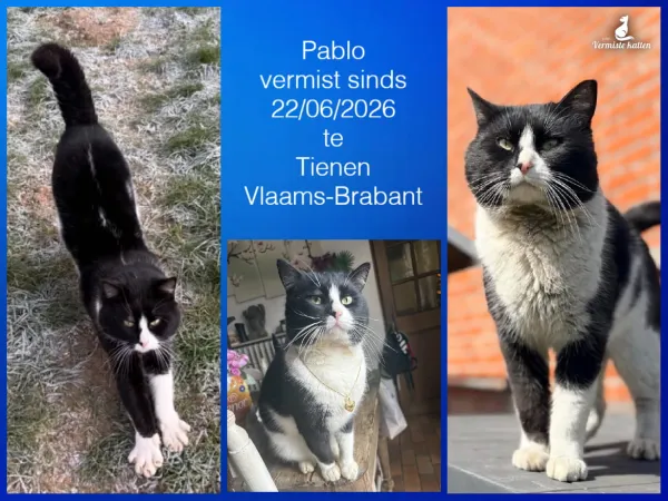 Pablo