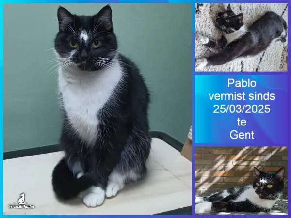 Pablo