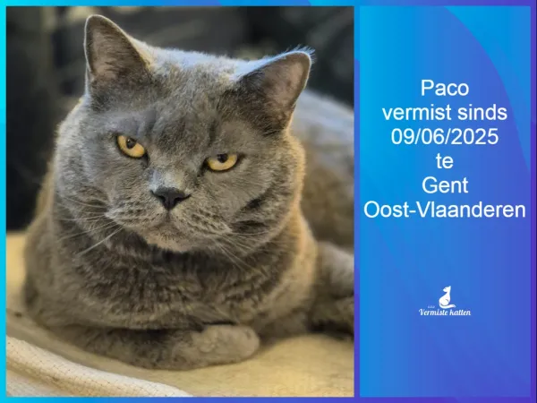 PACO