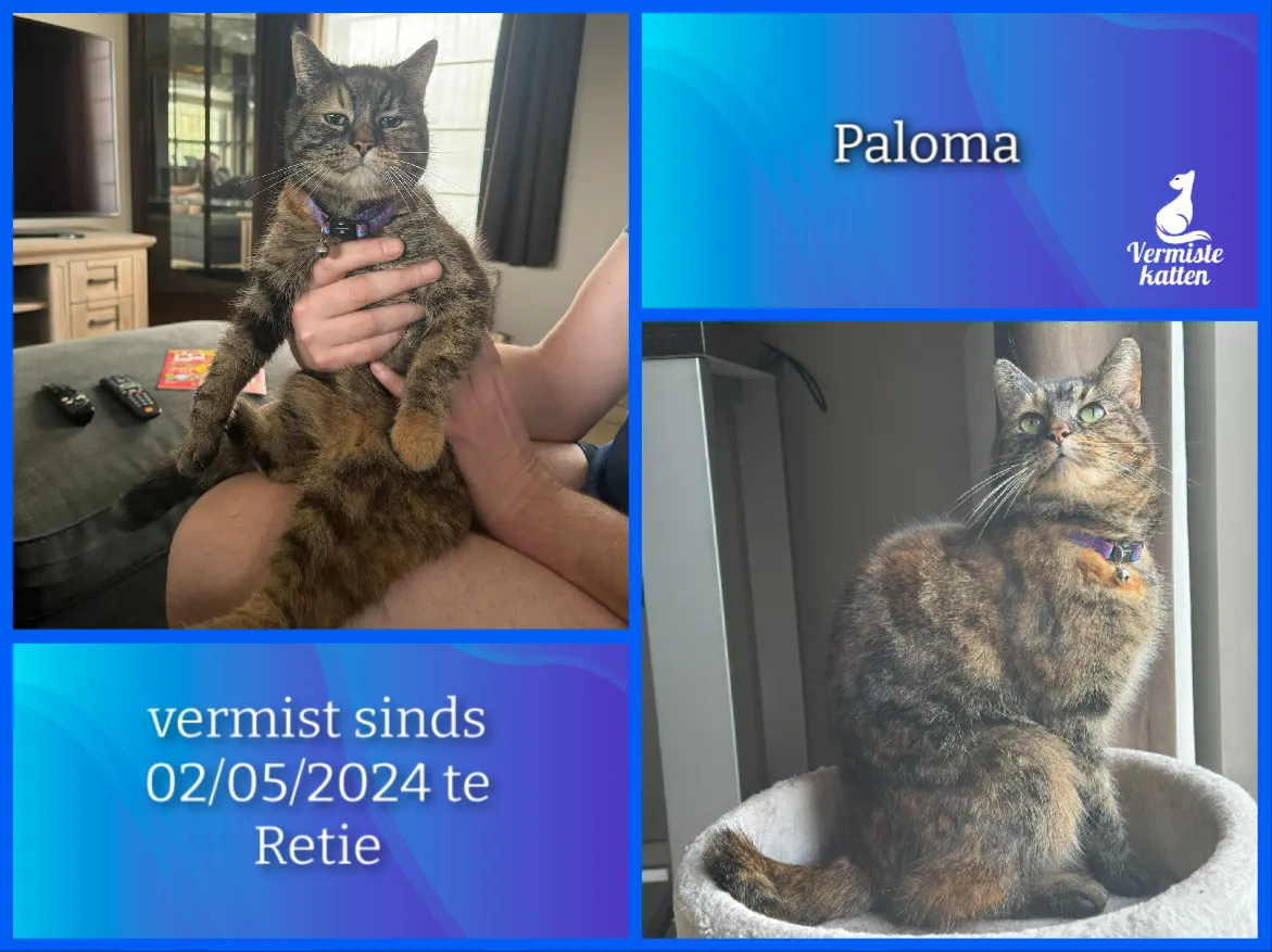 Paloma