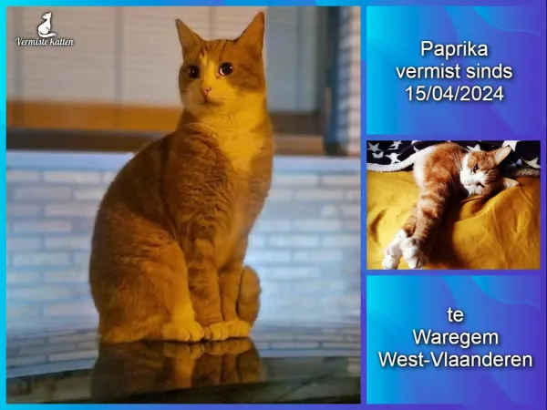 Paprika